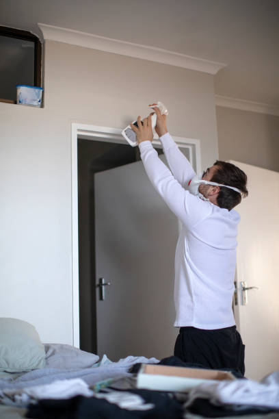 Best Mold Removal for HVAC Installations  in Weldon, NC