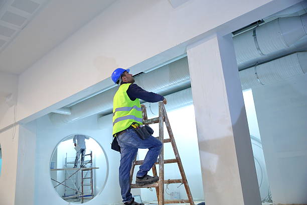 Best Mold Documentation for Insurance Claims  in Weldon, NC