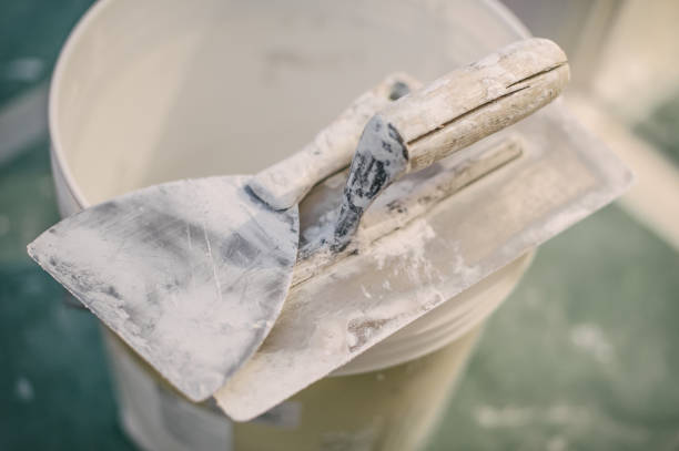 Best Forensic Mold Investigation  in Weldon, NC