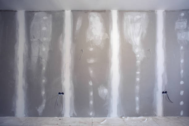 Best Biohazard Mold Removal  in Weldon, NC